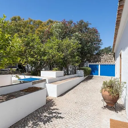 True Local Village *