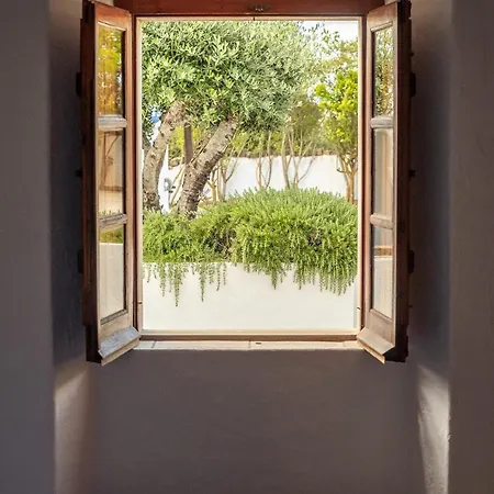 True Local Village *